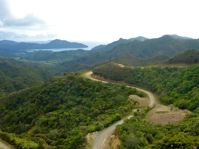 NZ Coromandel 309.JPG (124160 bytes)